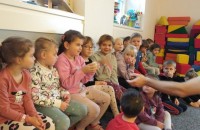 IMG_20241118_083530