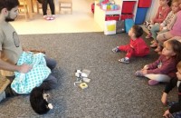 IMG_20241118_083951_1