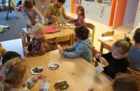 IMG_20241118_090017_1