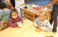 IMG_20241118_093549_1