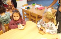 IMG_20241118_093552_1