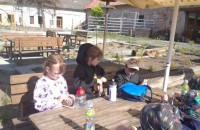 IMG_20250505_085255