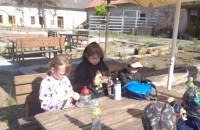 IMG_20250505_085256_1