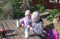 IMG_20250505_085301