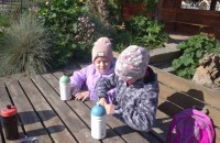 IMG_20250505_085302