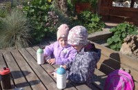 IMG_20250505_085303_1