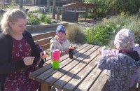 IMG_20250505_085308_1
