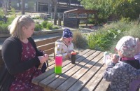 IMG_20250505_085309_1