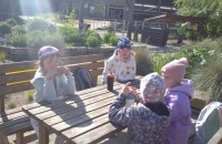 IMG_20250505_090425_1