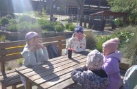 IMG_20250505_090427_1