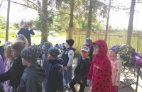 IMG_20250505_091218
