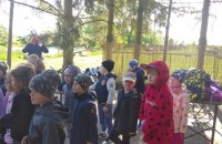 IMG_20250505_091219