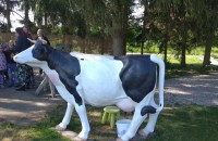 IMG_20250505_091324