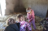 IMG_20250505_092121_1