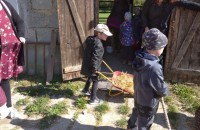 IMG_20250505_092138_1