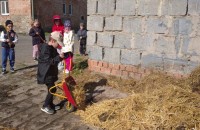 IMG_20250505_092201_1