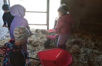 IMG_20250505_092221_1