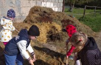 IMG_20250505_092325_1
