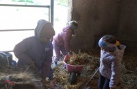 IMG_20250505_092349_1