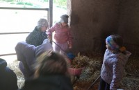 IMG_20250505_092351_1