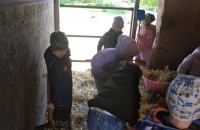 IMG_20250505_092356_1