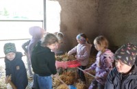 IMG_20250505_092412_1