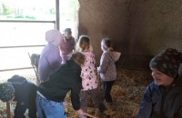 IMG_20250505_092415_1