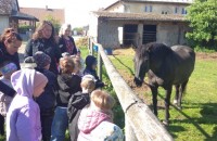 IMG_20250505_093017_1