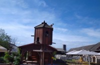 IMG_20250505_094825_1