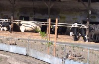 IMG_20250505_094832_1