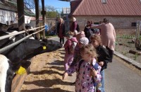IMG_20250505_095647_1