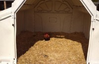 IMG_20250505_095916_1