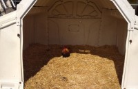 IMG_20250505_095917_1