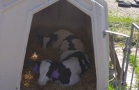 IMG_20250505_095931