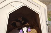IMG_20250505_100136_1