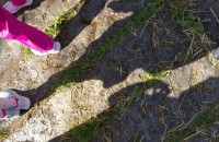 IMG_20250505_100143