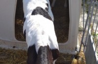 IMG_20250505_100316_1