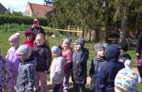 IMG_20250505_101615_1