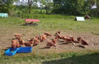 IMG_20250505_101856