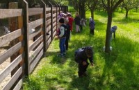 IMG_20250505_102345_1