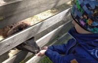 IMG_20250505_102813