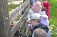 IMG_20250505_102822