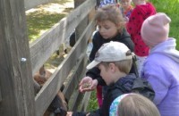 IMG_20250505_102822_2