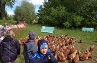IMG_20250505_103221_1