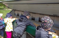 IMG_20250505_103840_1