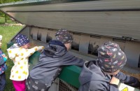 IMG_20250505_103842