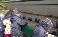 IMG_20250505_103843_1