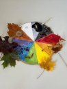 IMG-20231029-WA0001