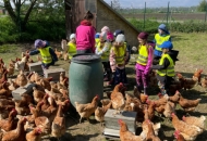 Farma Mezi poli- Den Země