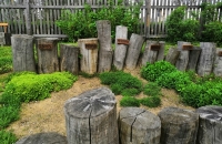 IMG_20190502_124436-001